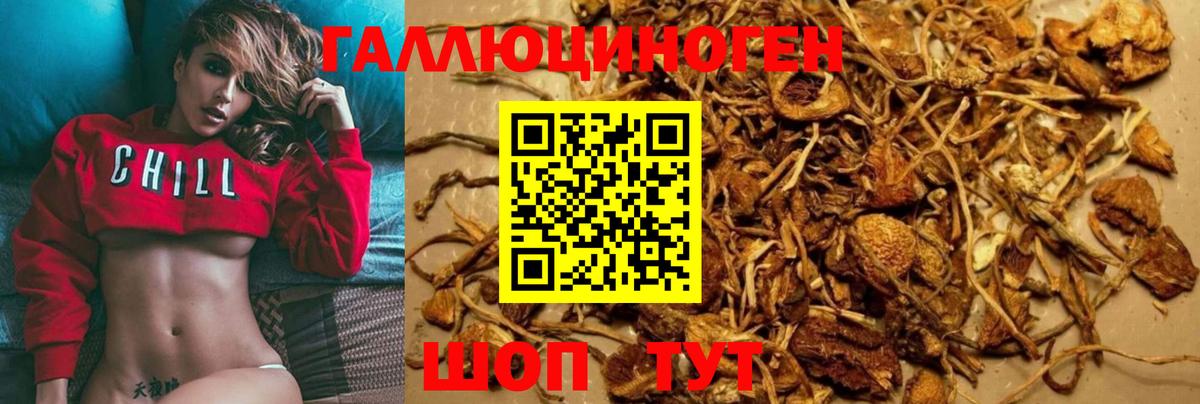 Галлюциногенные грибы Psilocybine cubensis  Галлюциногенные грибы Cubensis  Южноуральск  Вход с VPN 