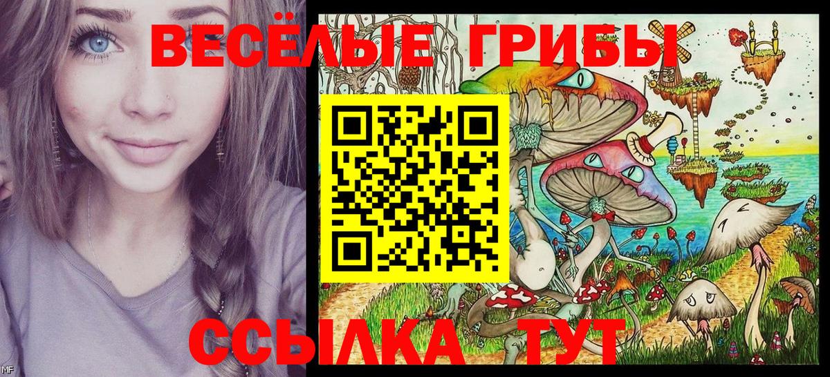 Галлюциногенные грибы мухоморы Южноуральск
